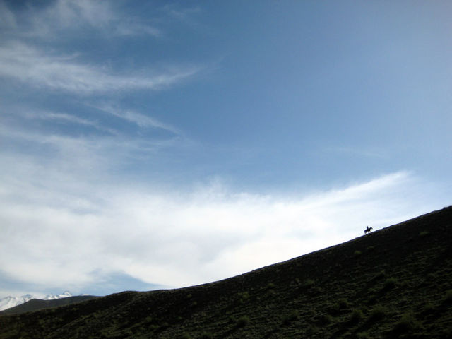 loneHorse