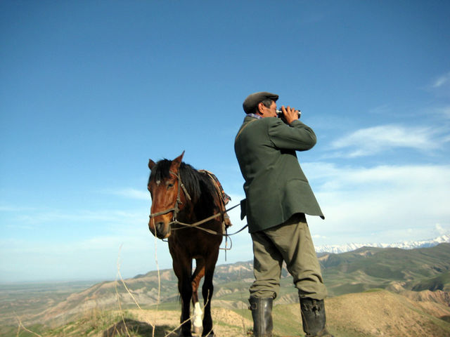 kyrgyz Horse