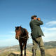 kyrgyz Horse
