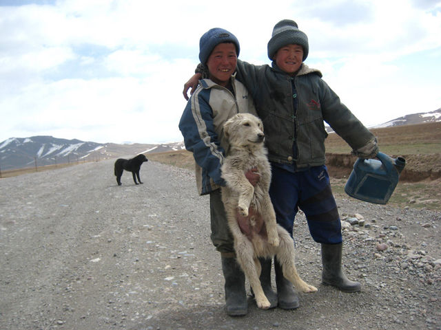 kyrgyz boys