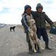 kyrgyz boys