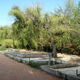 bishkek parque