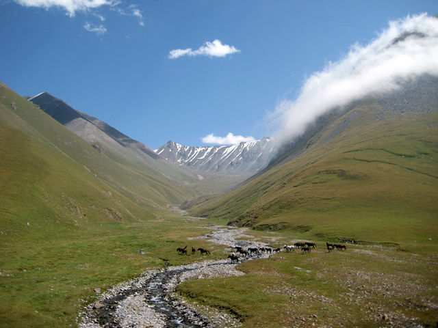 kol tor