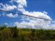 Kaua'i Countryside