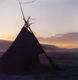 tequila tipi
