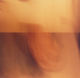 womb
