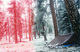snowcampin