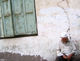 Uyghur