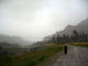 Misty Day