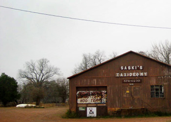 Texas Stubble